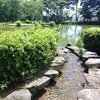 烏ヶ森公園の小川（8月8日）
