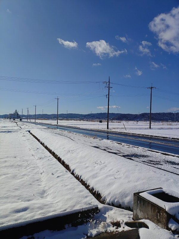 水田を通る道路（1月12日）