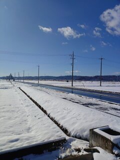 水田を通る道路（1月12日）