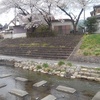 土手の階段の上の桜（4月10日）