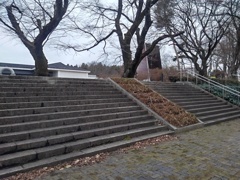 ゆうゆうパークの丘の2つの階段（1月2日）
