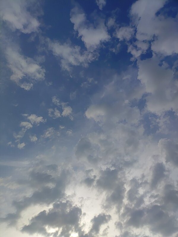 綺麗な青空（8月29日）