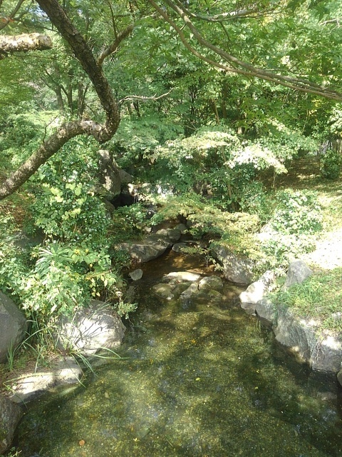 那須野が原公園の小川の入り口（10月14日）