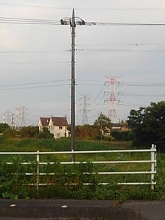 電柱と鉄塔（6月12日）