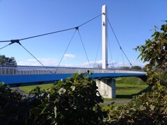 丘の上からの陸橋（10月27日）