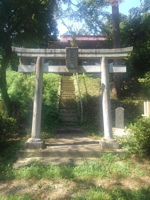 川崎城跡公園の丘の鳥居（7月26日）