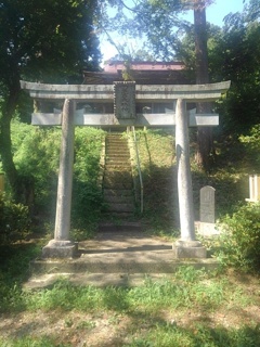 川崎城跡公園の丘の鳥居（7月26日）