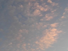 夕方の鱗雲（1月27日）