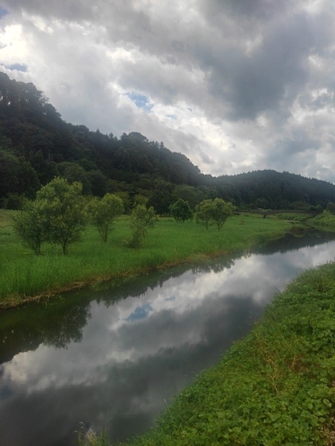雨上がりの川（8月2日）