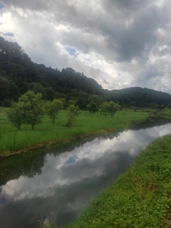 雨上がりの川（8月2日）