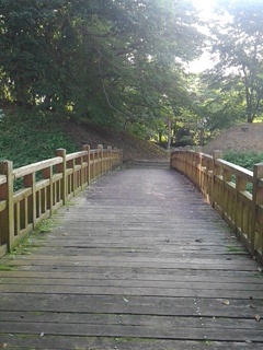 木製の陸橋の散歩（8月12日）