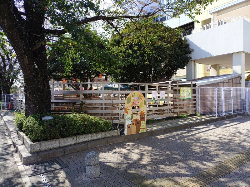 アルパカ広場（10月24日）