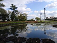 長峰公園の映り込みの池（9月15日）