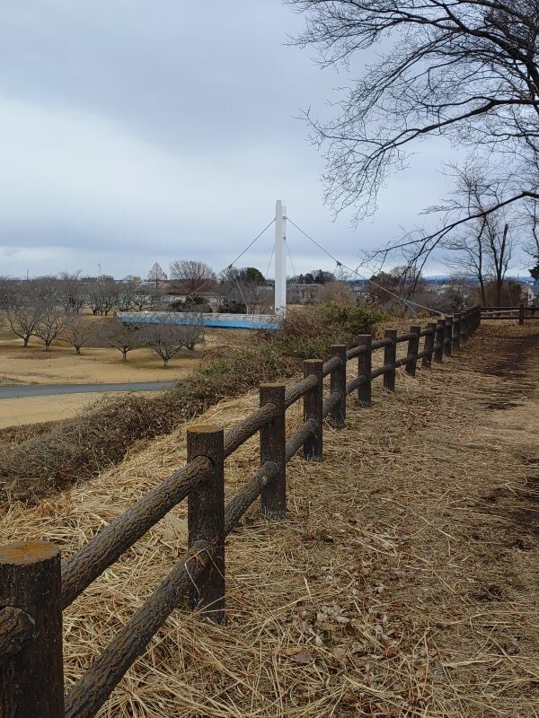 陸橋も見えるゆうゆうパークの丘の眺め（1月2日）