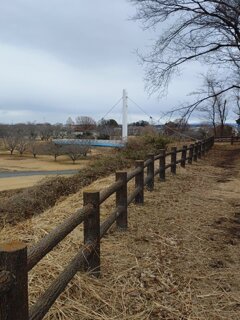 陸橋も見えるゆうゆうパークの丘の眺め（1月2日）