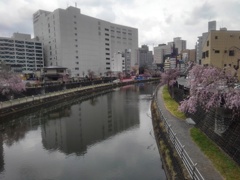 市街地と川（4月11日）
