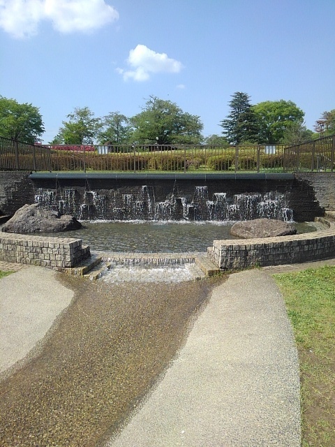 長峰公園の浅い池と小川の広場（5月1日）