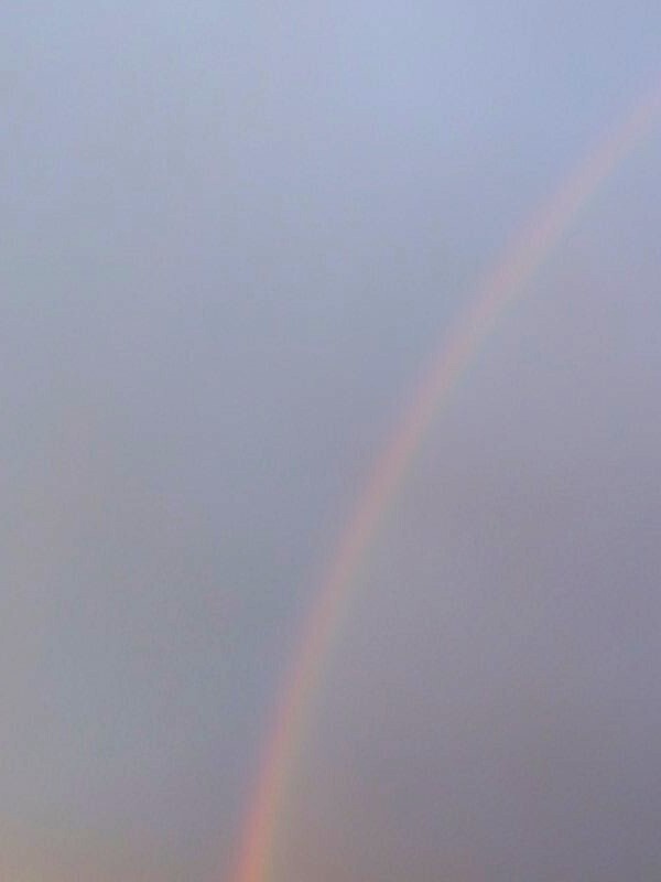 虹（12月15日）.