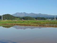 高原山（5月8日）