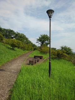 丘の街灯と石のベンチ（7月5日）