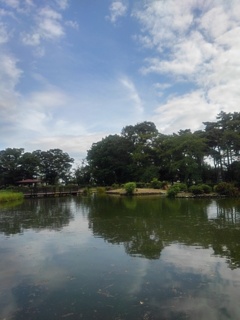 青空と水面（8月10日）