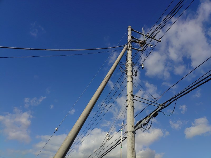 電柱（10月17日）