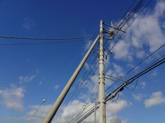 電柱（10月17日）