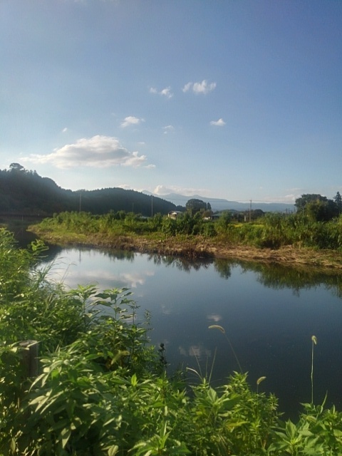 水が綺麗な川（9月4日）