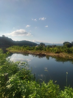 水が綺麗な川（9月4日）