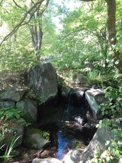小川の滝（4月30日）