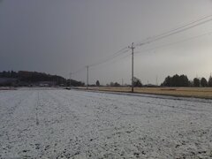 雪の水田と道路（12月4日）