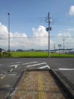 駐車場沿いの歩道からの眺め（8月25日）