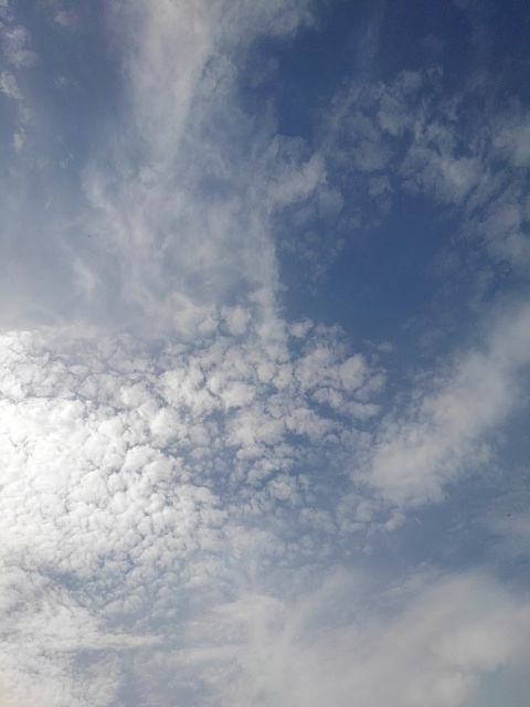 鱗雲と薄い雲（6月22日）