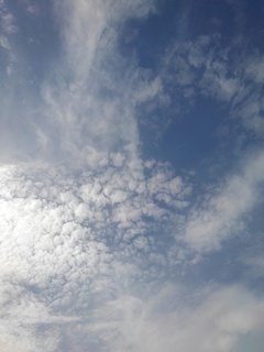 鱗雲と薄い雲（6月22日）