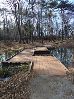 那須野が原公園の森の池の遊歩道（2月21日）