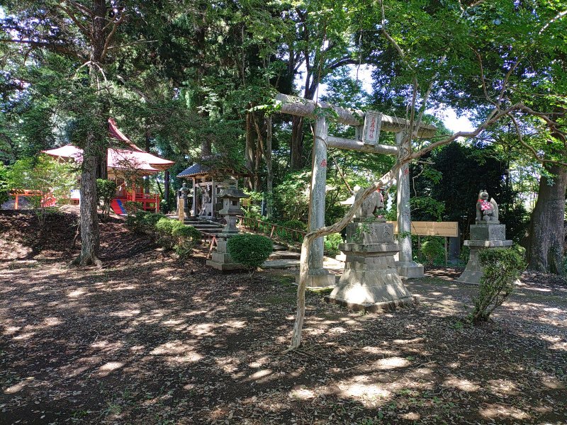 丘の鳥居（8月8日）