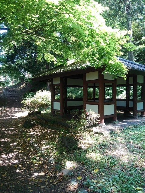 烏ヶ森公園の丘の道の休憩所（6月15日）