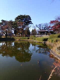 水面の映り込みとカーブの岸辺（11月20日）