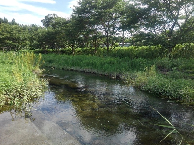 小川（7月19日）