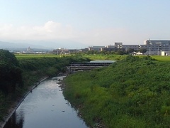 堰のある景色（8月2日）