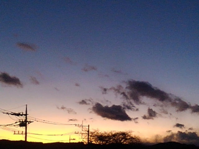 夕日（12月29日）