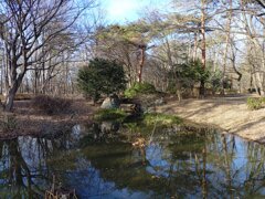 那須野が原公園の森の池（2月21日）