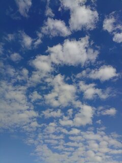 爽やかな青空と鱗雲（9月19日）
