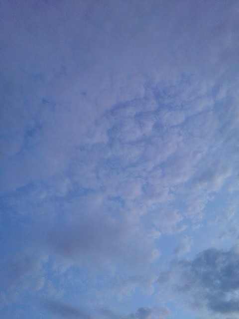 朝の鱗雲（7月25日）