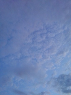 朝の鱗雲（7月25日）