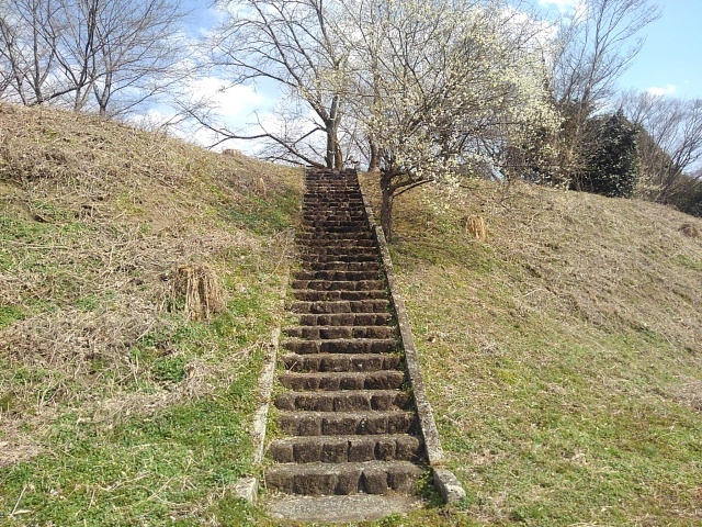 川崎城跡の丘の階段（3月22日）
