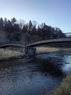 川岸から見えたともなり橋（12月30日）