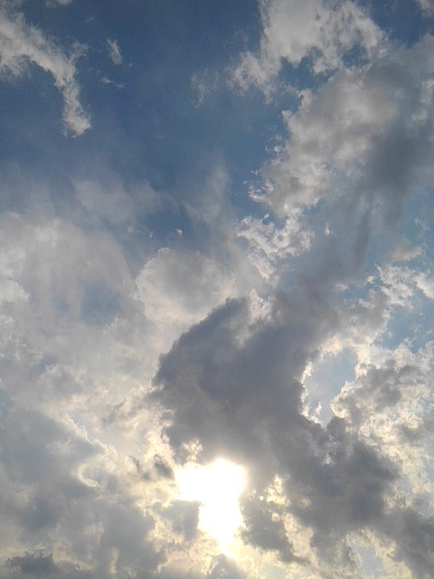 青空（4月26日）