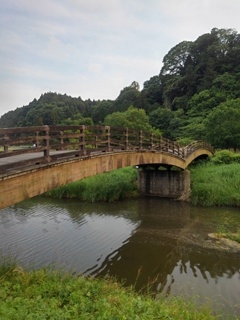 緑と似合う橋（6月6日）
