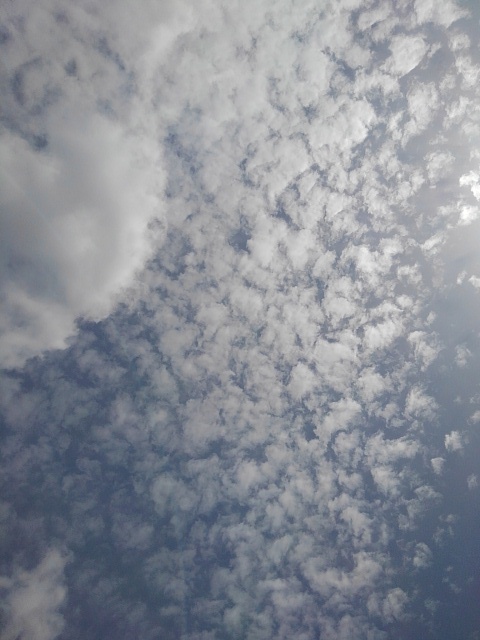 鱗雲のある空（10月7日）